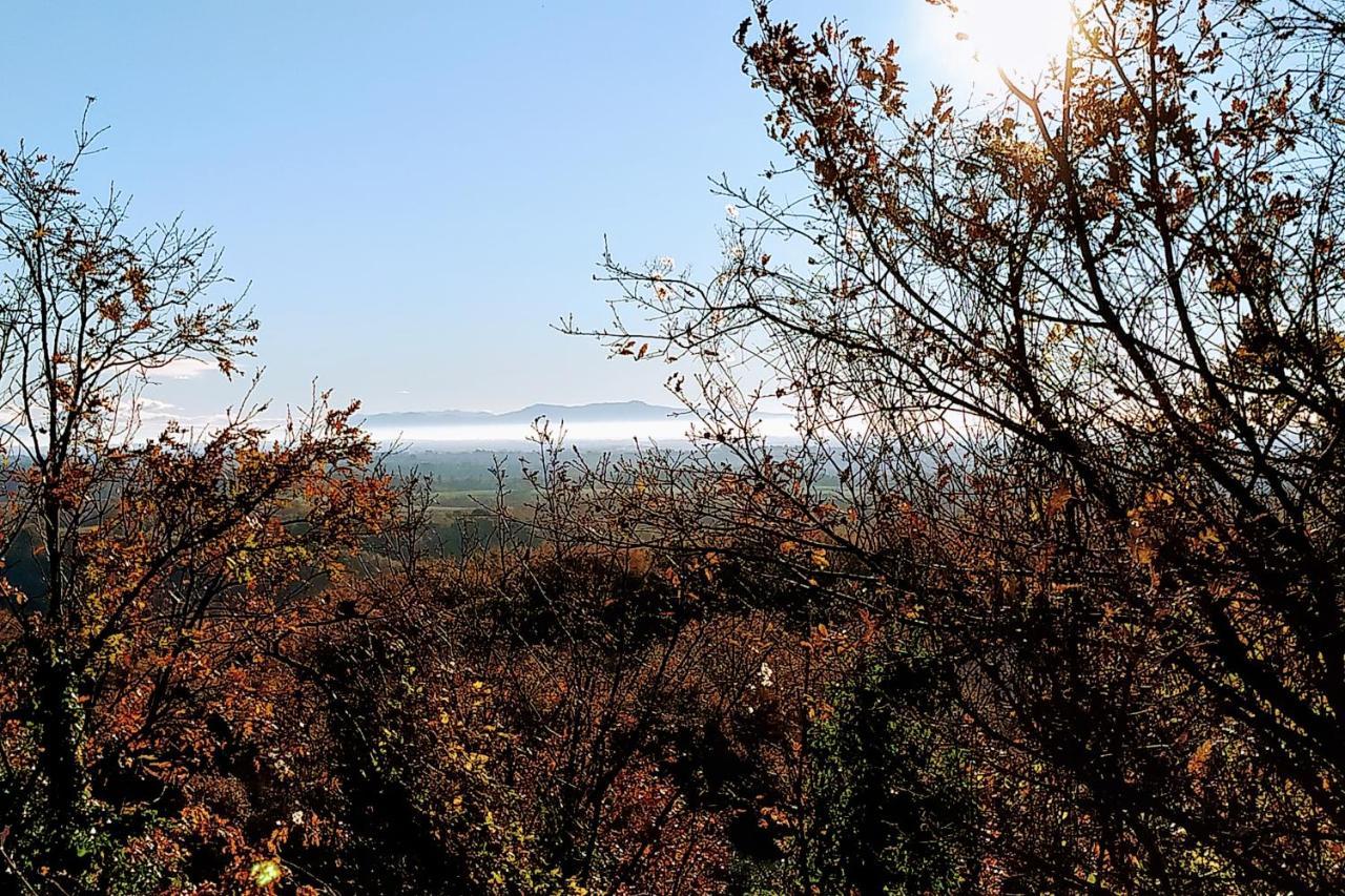 Agriturismo Tenuta Monte La Guardia Castel Giuliano 외부 사진