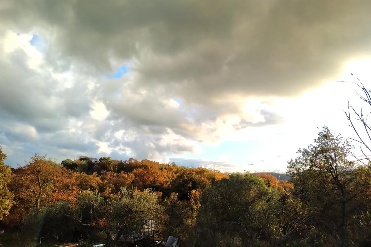 Agriturismo Tenuta Monte La Guardia Castel Giuliano 외부 사진
