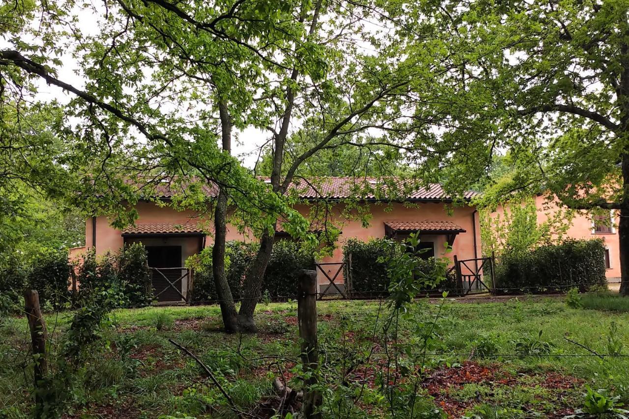 Agriturismo Tenuta Monte La Guardia Castel Giuliano 외부 사진