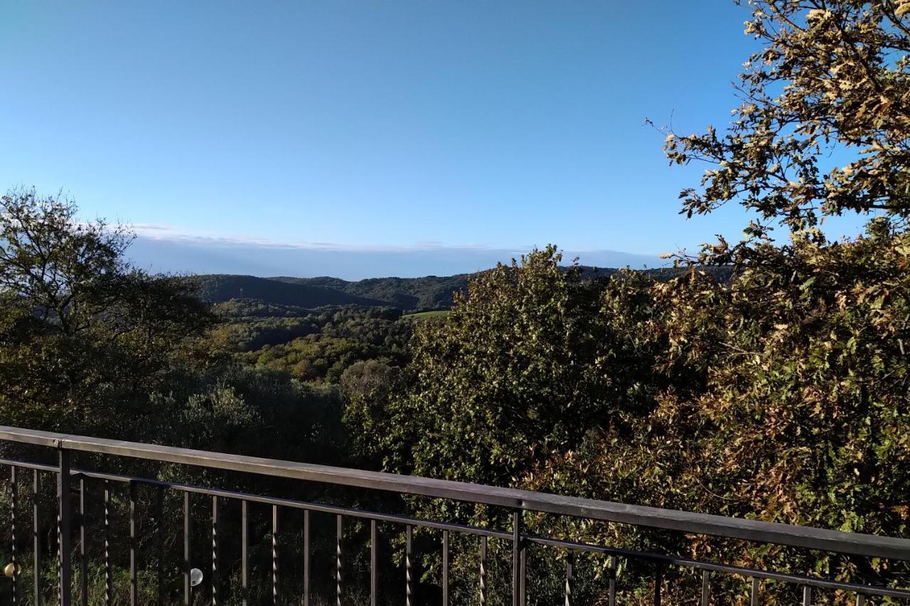 Agriturismo Tenuta Monte La Guardia Castel Giuliano 외부 사진