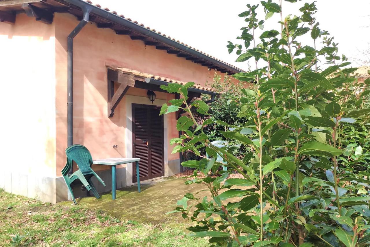 Agriturismo Tenuta Monte La Guardia Castel Giuliano 외부 사진