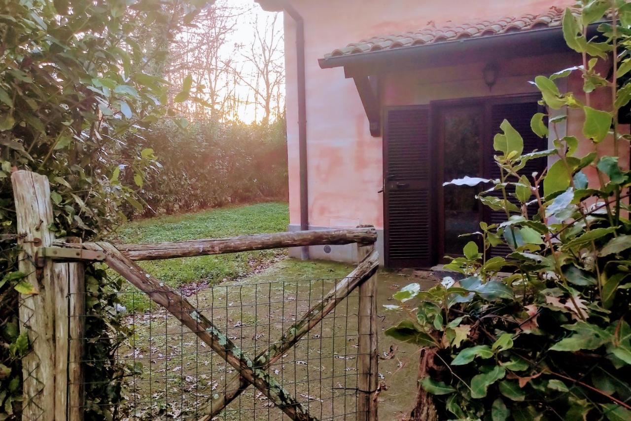 Agriturismo Tenuta Monte La Guardia Castel Giuliano 외부 사진